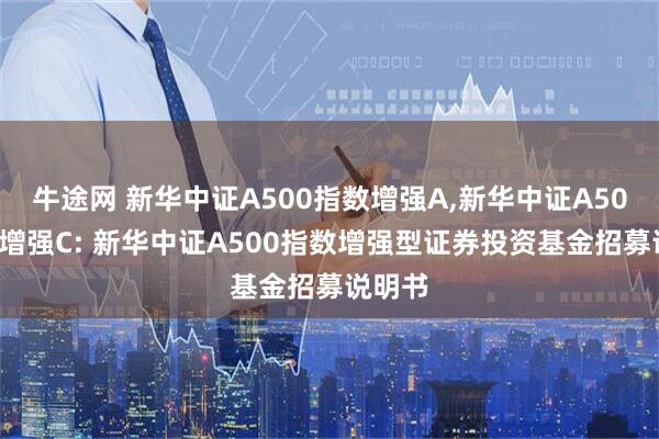 牛途网 新华中证A500指数增强A,新华中证A500指数增强C: 新华中证A500指数增强型证券投资基金招募说明书