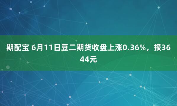 期配宝 6月11日豆二期货收盘上涨0.36%，报3644元