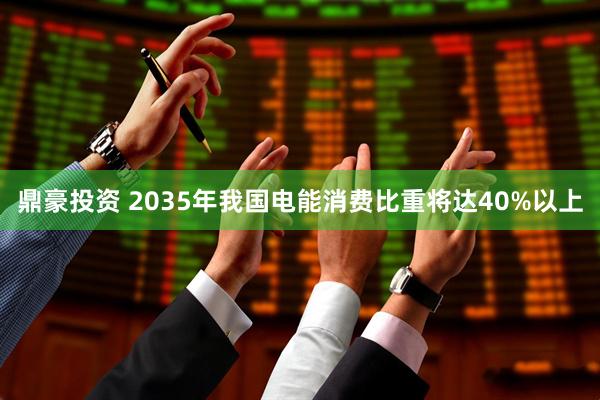 鼎豪投资 2035年我国电能消费比重将达40%以上