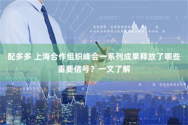 配多多 上海合作组织峰会一系列成果释放了哪些重要信号？一文了解